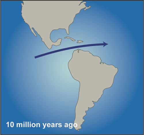 Les eaux de surface du Pacifique pouvaient s'écouler dans l'Atlantique via un corridor marin (le <a name="top"><em>Central American Seaway</em>) voici 10 millions d'années, durant le Miocène. Les deux océans avaient alors la même salinité. © WHOI</a>