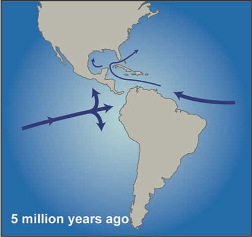 Amérique du Nord et Amérique du Sud ont convergé<a name="top"><em> </em>voici 5 millions d'années, durant le Pliocène</a>, fermant petit à petit le <a name="top">Central American Seaway</a><a name="top">. La circulation des masses d'eau a alors été modifiée. Le Gulf Stream s'est notamment intensifié. La salinité des océans Pacifique et Atlantique a commencé à différer. © WHOI</a>
