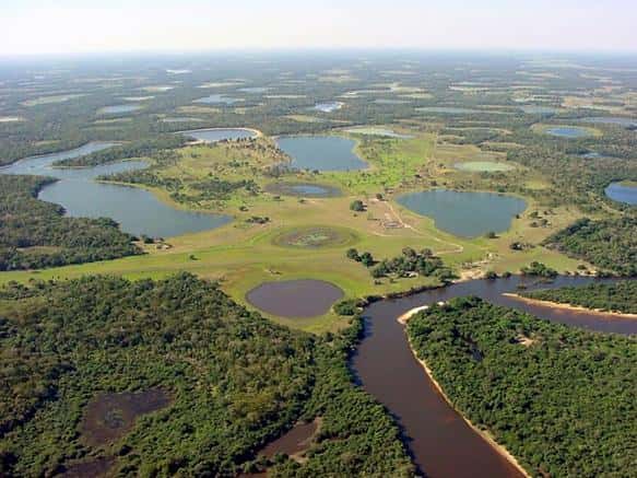 Le <a href="//www.futura-sciences.com/fr/news/t/developpement-durable-1/d/le-pantanal-plus-grande-zone-humide-du-monde-est-menace_36534/" title="Le Pantanal, plus grande zone humide du monde, est menacé" target="_blank">Pantanal</a>, la plus vaste zone humide du monde, s'étale autour du lit du fleuve Paraguay, au Brésil, en Bolivie et au Paraguay. Sa biodiversité est exceptionnelle. D'après une étude récente, les zones protégées – et encore, partiellement – ne représentent que 11 % de ce territoire de 1,1 million de km<sup>2</sup>, et 5 % sont inclus dans des parcs naturels. Le reste est soumis à l'extension des cultures, des élevages, des routes, des barrages et des mines. © world66, Wikipédia, cc by sa 1.0