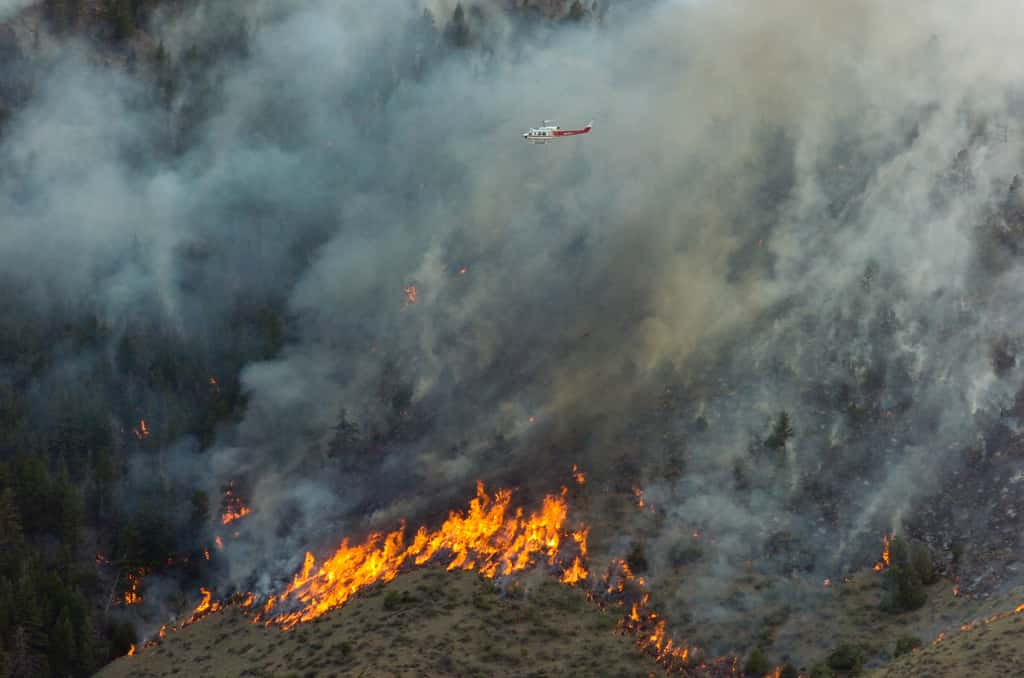 Les incendies de forêts aux États-Unis sont médiatisés. Dans d'autres régions, comme en Russie, d'immenses feux totalement hors de contrôle sont en train de causer d'innombrables dégâts. L'état d'urgence a été déclaré dans les régions Khanty-Mansiisk, Tyva, Sakha, Krasnoyarsk, Amur, Zabaikalsky et Sakhalin. La surface qui a brûlé en 2012 serait déjà supérieure à celle de 2010, une année record. © <em>Colorado National Guard</em>