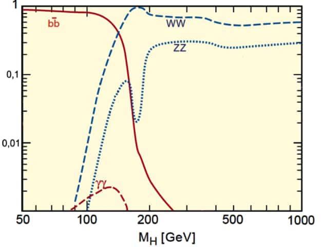 Sur ce schéma sont montrées les importances relatives de certains canaux de désintégration du Higgs en fonction de sa masse éventuelle. On voit ainsi qu'entre 100 GeV et 150 GeV apparaît une bosse exprimant l'importance du canal de désintégration à deux photons gamma (pointillé rouge). Au-delà de 200 GeV, le canal caractérisé par la production d'un quark b et d'un antiquark b (courbe rouge) devient complètement négligeable devant ceux avec bosons Z ou W. Bien que ces deux canaux soient fortement favorisés par rapport à celui à deux photons vers 130 GeV, le signal en gamma est moins bruité que le signal en ZZ ou WW. C'est pourquoi, si le Higgs standard existe et a bien une masse entre 115 GeV et 140 GeV, les premiers indices de son existence sont ces photons gamma. © Konrad Jende/Cern