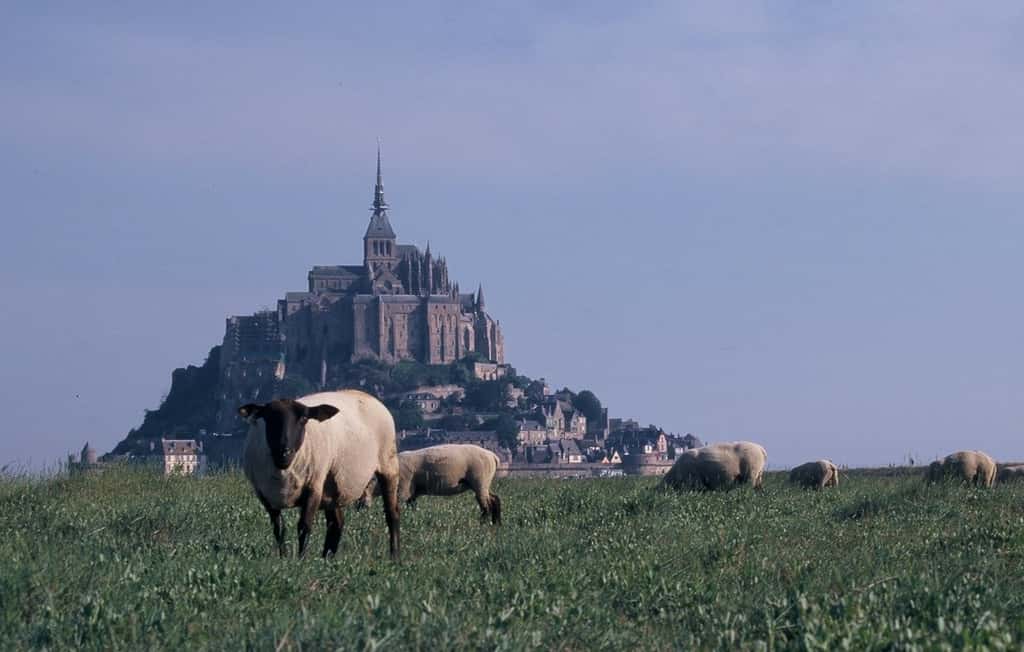 Le mont Saint-Michel fait partie des sites touristiques français les plus fréquentés. © <a href="http://montreurdimages.blogspot.fr/2010/09/le-mont-saint-michel.html" title="Montreur d&#039;images : le Mont Saint-Michel" target="_blank">Jean-Baptiste Feldmann</a> 