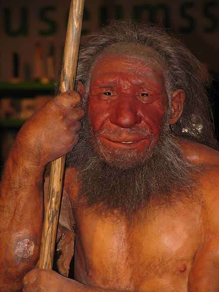 L’Homme de Néandertal a très longtemps été considéré comme assez nettement inférieur aux Hommes modernes du point de vue culturel. Une hypothèse désormais remise en question. © Stefan Scheer, Wikipédia, cc by sa 3.0