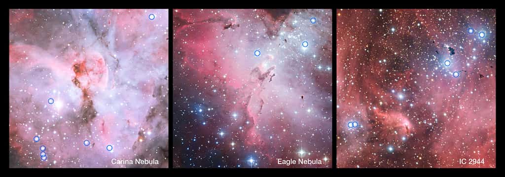 Ces spectaculaires vues panoramiques montrent des parties de la nébuleuse de la Carène (gauche), de la nébuleuse de l'Aigle (centre) et d'IC 2944 (droite). Ce sont toutes des régions de formation stellaire contenant beaucoup de jeunes et chaudes étoiles, dont plusieurs sont de type spectral O. Les étoiles O, dans ces régions de formation stellaire qui ont été intégrées dans un nouveau sondage réalisé avec le VLT de l'ESO, sont indiquées par un cercle. Beaucoup de ces étoiles se révèlent être des binaires très proches, et de tels systèmes transfèrent souvent de la masse d'une étoile à l'autre. Les images ont été réalisées à partir de clichés pris avec la caméra WFI sur le télescope MPG-ESO de 2,2 m à l'Observatoire de la Silla au Chili. © ESO 