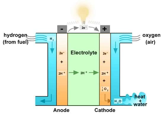 Comme le montre ce schéma récapitulatif du fonctionnement d’une pile à combustible, celle-ci utilise de l’hydrogène (H<sub>2</sub>) et l’oxygène de l’air (<em>oxygen</em>) pour produire de l’électricité, en ne rejetant que de l’eau (H<sub>2</sub>O) et de la chaleur (<em>heat</em>). Deux éléments qui peuvent d’ailleurs être réutilisés dans le projet mis en place par Airbus, le DLR et Parker Aerospace. © <em>World Fuel Cell Council</em>