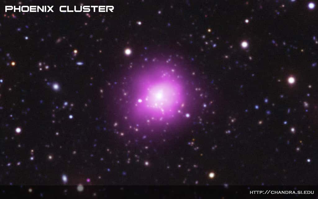 L'image montre l’amas du Phénix situé à environ 5,7 milliards d'années lumière de la Terre. C’est une photo composite comprenant une image en rayons X de Chandra (violet) et une image dans le visible prise avec le télescope Blanco (rouge, vert et bleu). © Nasa