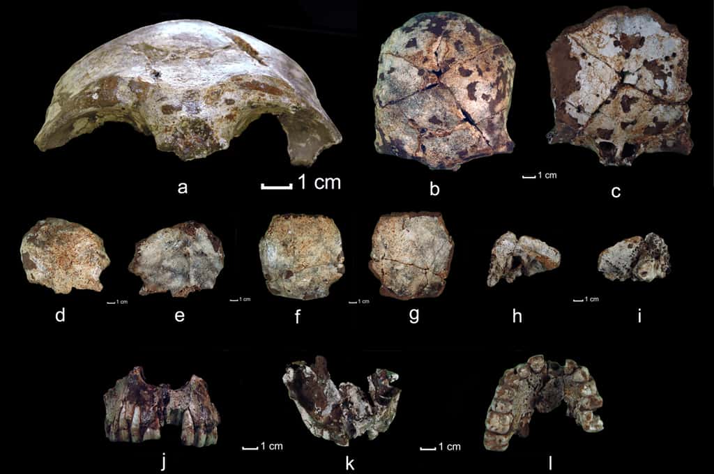 Présentation des fragments de crâne d'<em>Homo sapiens</em> trouvés dans la grotte Tam Pa Ling au Laos. Os frontal vu respectivement de face, d’en haut et par le bas (A, B, C) ; os occipital photographié par le haut et par le bas (D, E) ; os pariétal droit vu par le haut et par le bas (F, G) ; os temporal droit avec une partie de mastoïde en vue latérale externe et interne (H, I) ; maxillaire photographié de face, par le haut et par le bas (J, K, L). © Fabrice Demeter <em>et al. </em>2012, <em>Pnas</em> 