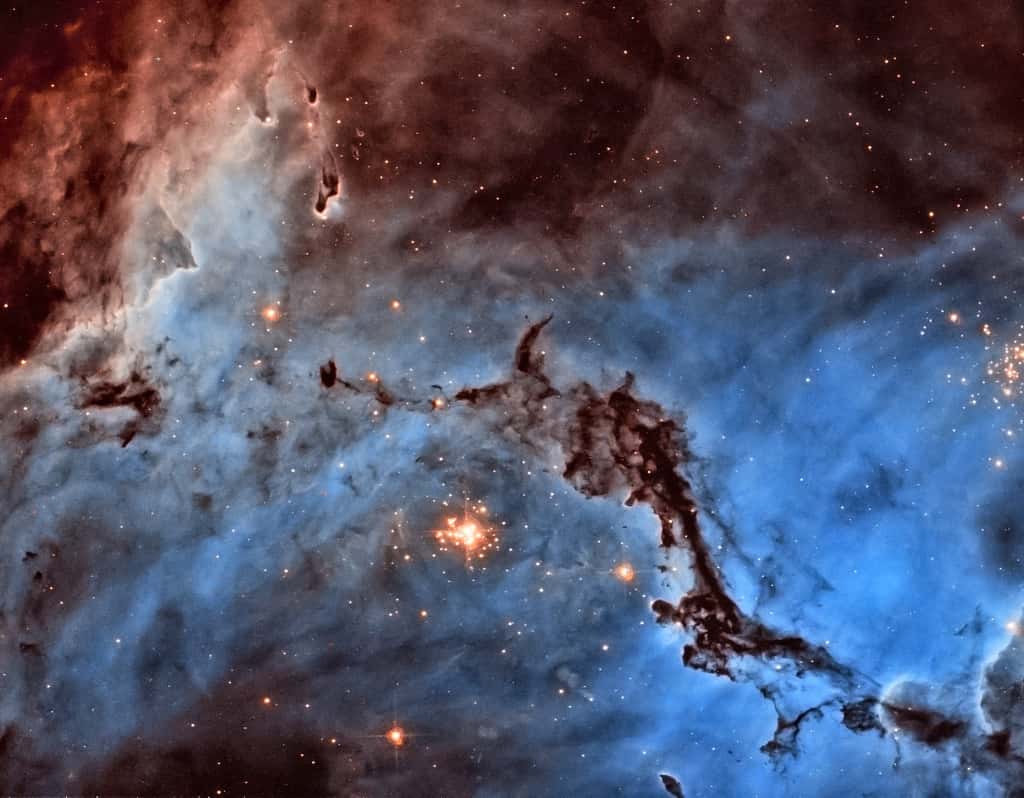 Premier prix dans la catégorie « images d’Hubble retraitées » : la nébuleuse NGC 1763 revue et corrigée par l'Américain Josh Lake. © Nasa, Esa, Josh Lake