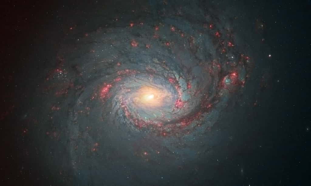 Le Hollandais Andre van der Hoeven a obtenu le deuxième prix des images retraitées avec cette majestueuse vue de la galaxie Messier 77. © Nasa, Esa, Andre van der Hoeven 