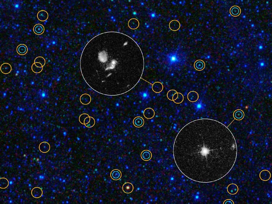 Sur cette image, les cercles bleus montrent les quasars et les trous noirs supermassifs déjà détectés dans le visible. En observant ceux détectés par Wise avec le télescope Hubble, on voit des différences nettes qui s'expliquent par le fait que les nouveaux candidats au titre de quasar sont obscurcis par d'épais manteaux de poussières. © Nasa