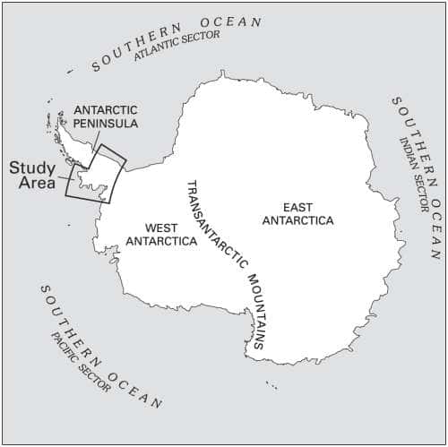 L'Antarctique possède une superficie d'environ 12,5 millions de km². Il est recouvert en été par 14 millions de km² de glace, ce qui représente 26 fois la surface de la France. Le continent est divisé en deux par la chaîne transantarctique (<em>Transantarctic Mountains</em>). La partie occidentale (<em>West Antarctica</em>) n'occupe qu'un cinquième du territoire. © USGS