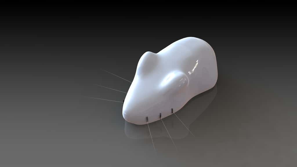 La petite souris e-Puck, avec ses trois moustaches de chaque côté de son museau. Elle bouge ces vibrisses artificiels montés sur un support souple en polymère pour détecter un objet, grâce à une subtile analyse logicielle. © BVS
