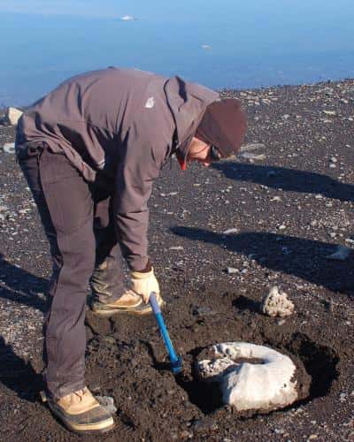 Thomas Tobin extrait le fossile d'une ammonite géante sur l'île James Ross (Antarctique). Ces céphalopodes ont disparu peu de temps avant la crise biologique du Crétacé-Tertiaire. © Eric Steig, <em>U. of Washington</em>