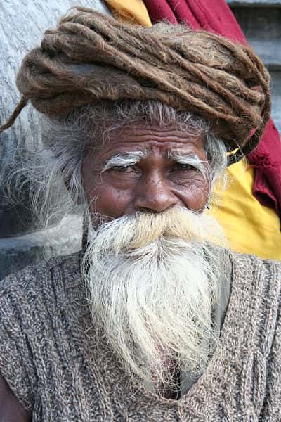 L'homme possède jusqu'à 500 poils de barbe par cm<sup>2</sup>. La femme, ça ne se voit pas (ou très rarement), en possède malgré tout une centaine, mais très courts. © Wen-Yan King, Wikipédia, cc by 2.0
