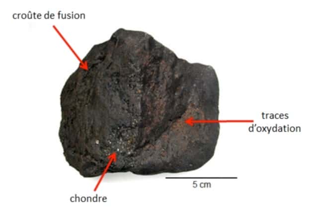 Cette photographie de la météorite Paris montre la croûte de fusion formée lors de l’entrée atmosphérique en partie oxydée (traces orange) ainsi que l’intérieur bien préservé de la météorite (visible au centre) où l’on peut voir de petites inclusions blanches appelées chondres. © MNHN