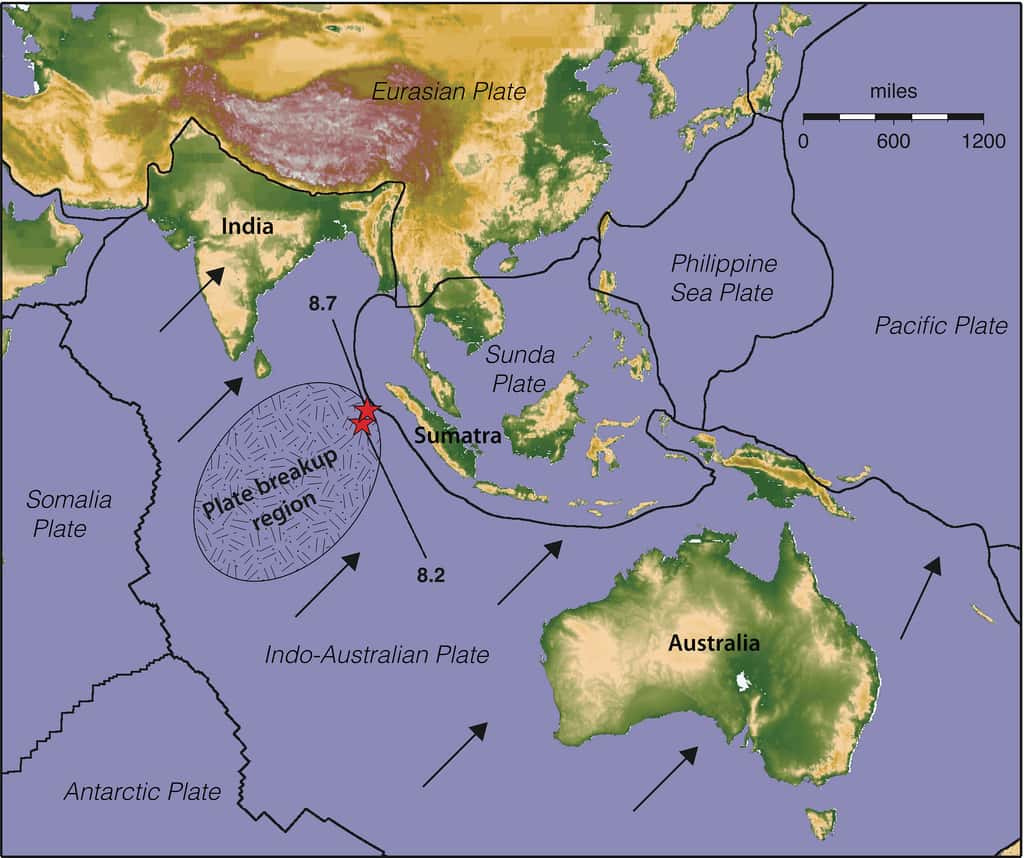 Les flèches noires indiquent le sens du déplacement des différentes parties de la plaque indo-australienne (<em>Indo-Australian Plate</em>). Elles ne sont pas toutes parallèles. Les tensions engendrées causeraient une rupture de la plaque dans la région encerclée (<em>Plate breackup region</em>). Les deux séismes du 11 avril 2012 ont d'ailleurs eu lieu (étoiles rouges) dans cette zone. © Keith Koper, <em>University of Utah</em> 