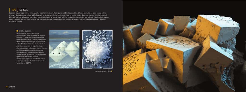 À l'échelle macroscopique, les cristaux de sel apparaissent en une structure cubique. © Giles Sparrow/Dunod