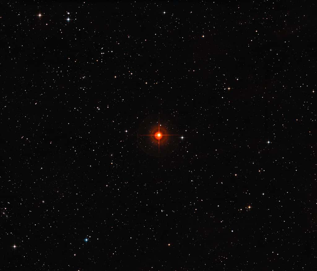 Image à grand champ du ciel autour de l’étoile géante rouge R. Sculptoris. © ESO, Digitized Sky Survey 2, Davide De Martin