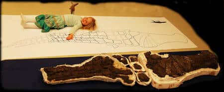 La fille de Jørn H. Hurum, l'un des paléontologues qui ont travaillé sur ces squelettes, donne l'échelle d'une des nageoires du pliosaure. © <em>Natural History Museum</em>, université d'Oslo