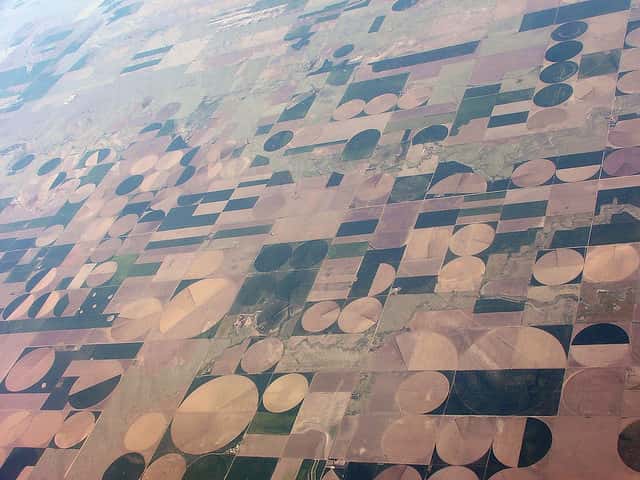 Paysage irréel, les champs irrigués du Kansas s'étendent à perte de vue. Succession ininterrompue de monocultures intensives, ils n'accordent aucune place aux espaces semi-naturels permettant le maintien, même minimal, de la biodiversité. Actuellement, l'essentiel de l'alimentation mondiale est assuré par seulement 10 espèces végétales, sur les 30.000 disponibles. ©  Etienne Boucher, flickr,<em> </em>CC by-nc-sa 2.0