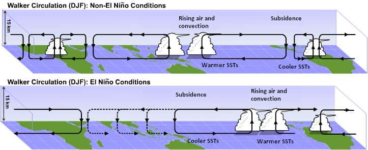 La circulation de Walker est une circulation atmosphérique qui redistribue l'excédant de chaleur sur la ceinture tropicale. Elle est ici représentée pour les mois de décembre, janvier et février (DJF) pour les conditions normales (schéma du haut) et pour les conditions El Niño (schéma du bas). Les branches ascendantes des cellules sont associées à une zone dépressionnaire, où une intense convection nuageuse (<em>rising air and convection</em>) se développe. Les branches descendantes sont associées à des zones de subsidence, caractérisées par des hautes pressions et une atmosphère sèche. Lors d'un événement El Niño, la branche ascendante de l'océan Indien se déplace vers l'est et peut se placer au-dessus de l'Inde, inhibant la formation de la mousson. © <em>Penn State University</em>
