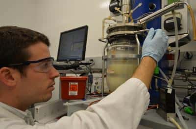 Zachary Baer de l’<em>University of California </em>à Berkeley sépare l’acétone et le butanol (en haut dans la chambre de fermentation) du milieu contenant les bactéries <em>Clostridium</em> (en bas). Ce qu’il reste dans le système sera utilisé pour produire du biodiesel. © Robert Sanders photo 
