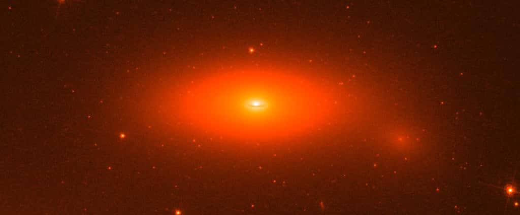 Cette image en fausses couleurs a été prise par le télescope Hubble. Elle montre la galaxie lenticulaire NGC 1277 dans l'amas de Persée. © Nasa, Esa, Andrew C. Fabian, Remco C.-E. van den Bosch (MPIA)