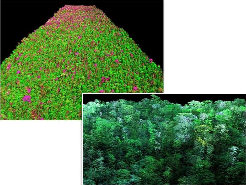 Ces deux images sont le résultat de la combinaison des images lidar et des données spectrales. La couleur rouge indique les arbres à fort stress hydrique (image du haut), alors que le blanc indique les branches sans feuilles (image du bas). © <em>Carnegie Airborne Observatory</em>, <em>Carnegie Institution for Science</em>