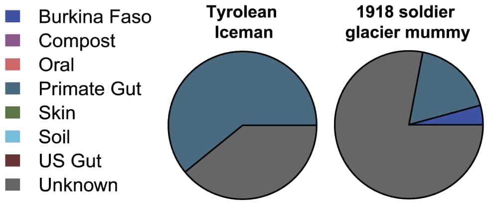 Ces camemberts permettent de comparer le microbiote d'Ötzi (<em>Tyrolean Iceman</em>) avec le soldat mort en 1918. Ötzi partage plus de la moitié de sa flore intestinale avec celle des primates (<em>Primate Gut</em>), tandis qu'il équivaut à une toute petite partie pour le soldat. En un peu plus de 4.000 ans, les bactéries de nos entrailles ont beaucoup changé. À noter quand même l'importance de l'origine inconnue de l'ADN retrouvé dans cette expérience. © Tito <em>et al.</em>, <em>Plos One</em>, cc by 2.5