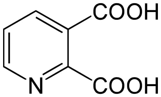 L'acide quinolinique est une molécule plutôt simple, de formule C<sub>7</sub>H<sub>5</sub>NO<sub>4</sub>. S'il agit sur les canaux NMDA sensibles au glutamate, il serait impliqué dans d'autres troubles neurologiques, y compris dans la maladie d'Alzheimer. © Yizakruul, Wikipédia, DP © Yizakruul, Wikipédia, DP
