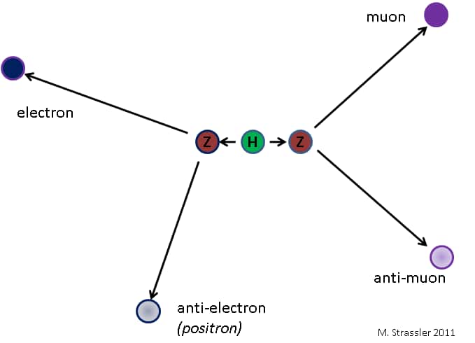Diagramme montrant la désintégration du boson de Higgs dans le canal avec deux bosons Z0 qui eux-mêmes se désintègrent en leptons, ici des électrons, muons et leurs antiparticules. Atlas et CMS voient tous les deux des signes de cette réaction avec un boson de Higgs ayant une masse de l'ordre de 126 GeV. © Matthew Strassler