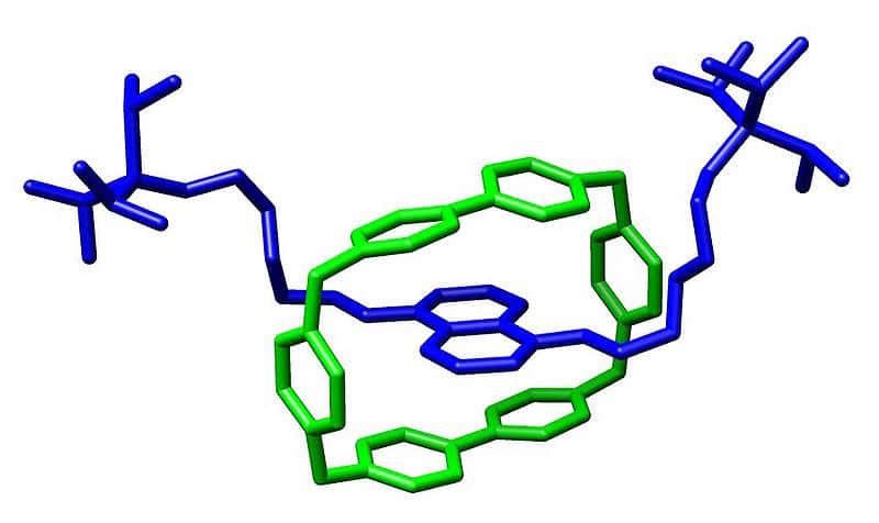 Un exemple de rotaxane. Un macrocycle (en vert) est traversé par une molécule longiligne (en bleu). © M stone, Wikipédia, cc by sa 3.0