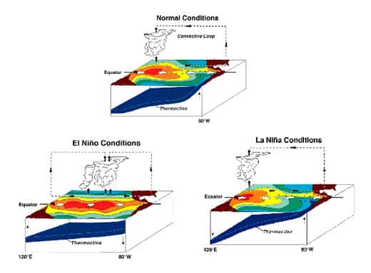 En conditions normales (<em>Normal Conditions</em>, image du haut), la circulation de Walker (<em>Convective Loop</em>) est caractérisée par une zone de convection atmosphérique à l'ouest du bassin et une zone sèche à l'est du bassin. Durant un événement El Niño (en bas à gauche), la zone de convection se trouve dans le centre du Pacifique. Le réchauffement océanique du Pacifique actuel suggère que la zone d'eau chaude, la <em>warm pool</em>, serait en permanence plus centrée dans le Pacifique, induisant des conditions El Niño permanentes. © NOAA