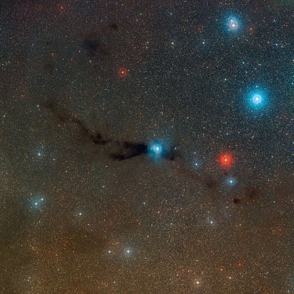 Cette image à grand champ montre un nuage sombre où se forment de nouvelles étoiles avec un amas d'étoiles brillantes qui ont déjà émergé de leur nurserie stellaire poussiéreuse. Ce nuage est appelé Lupus 3 et se trouve à environ 600 années-lumière de la Terre dans la constellation du Scorpion. Il est probable que le Soleil soit né dans une région de formation stellaire similaire, voilà plus de quatre milliards d'années. Cette image a été réalisée à partir de clichés provenant du <em>Digitized Sky Survey 2</em>. © ESO, <em>Digitized Sky Survey 2</em>, Davide De Martin