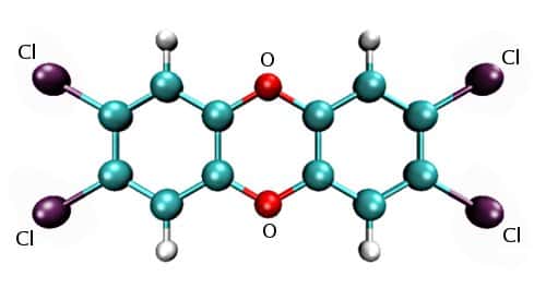 Un exemple de polychlorodibenzo-p-dioxine (PCDD) : la 2,3,7,8-tétrachlorodibenzo-p-dioxine, dite dioxine de Seveso.<em> </em>Elle est l'une des plus nocives des PCDD. Ces dernières sont constituées de deux noyaux de benzène, de deux atomes d'oxygène et d'atomes de chlore, de fluor ou de brome. © Kelson, GNU 1.2