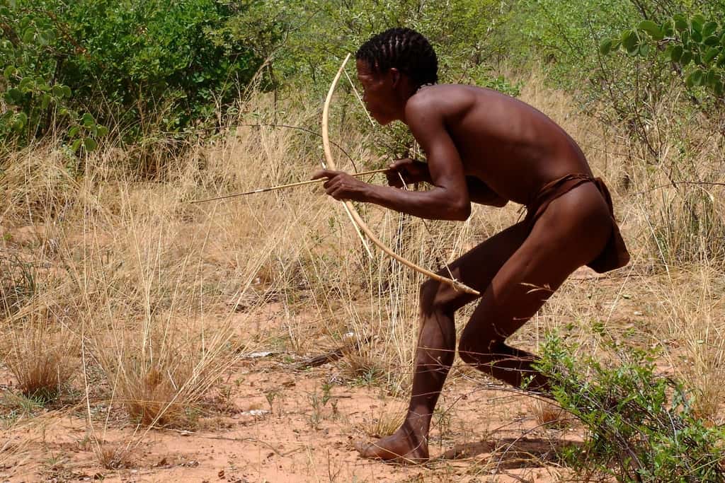 Le peuple San, qui vit en Afrique, est toujours chasseur-cueilleur. En Europe, ce mode de vie aurait disparu il y a environ 5.000 ans, soit plus de 2.000 ans plus tard que ce que les archéologues avaient imaginé. © Charles Roffey, Fotopédia, cc by nc sa 2.0