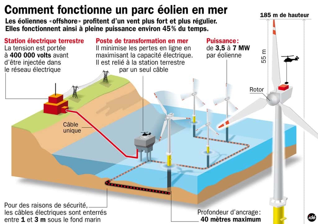Le fonctionnement d'une ferme éolienne <em>offshore</em> en image. © Idé