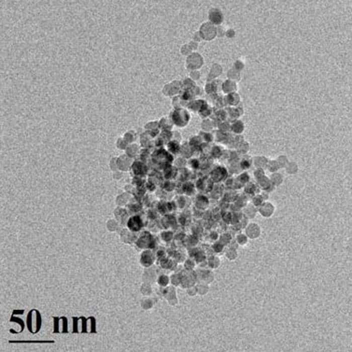 Une vue au microscope électronique des nanoparticules de silicium capables de libérer de l'hydrogène à partir de l'eau. Pour cela, inutile de chauffer ou d'utiliser un courant électrique. © <em>Swihart Research Group</em>, université de Buffalo