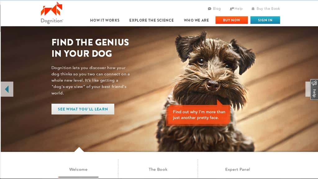 Le site Internet <em>Dognition </em>a été mis en ligne ce mardi 5 février 2013. Cette application Web permet à n'importe quel propriétaire d'un chien d'évaluer son intelligence. Les données sont récoltées par l'équipe du chercheur Brian Hare, de la <em>Duke University</em>. Elles permettront aux chercheurs d'approfondir leurs recherches sur le comportement du chien. © www.dogcognition.com