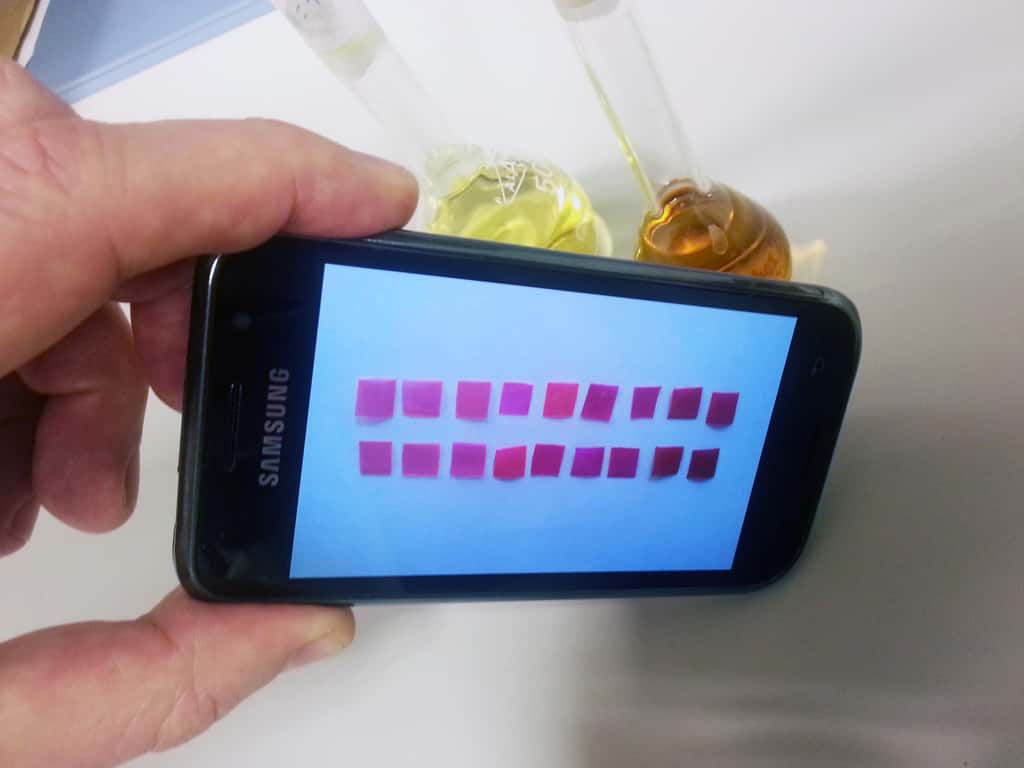 Un téléphone mobile détecte les différences de couleur entre plusieurs bandelettes plongées dans des échantillons d’eau avec diverses concentrations de mercure. © J. M. Garcia <em>et al.</em>