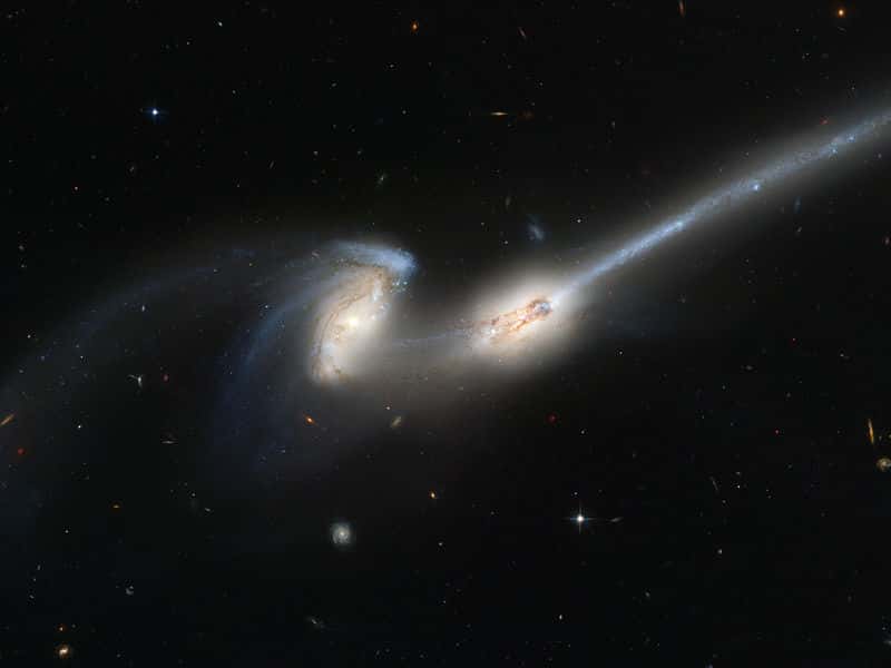 Sur cette image prise par Hubble, on voit NGC 4676 A (à droite) et B (à gauche), également appelée galaxies des Souris (Mice Galaxies, en anglais). Il s’agit de deux galaxies spirales situées dans la constellation de la Chevelure de Bérénice à environ 290 millions d'années-lumière de la Voie lactée. Ces deux galaxies sont entrées en interaction. Notez la longueur d'une des queues de marée. Il est possible que ces deux galaxies soient déjà entrées en collision, et recommencent jusqu'à ce qu'elles fusionnent. © Nasa, Esa