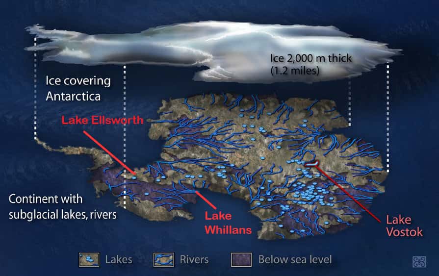 Le continent antarctique est irrigué par un vaste réseau hydrologique. Les points bleus sont les lacs (<em>lakes,</em> en anglais) et les courbes bleues sont des rivières (<em>rivers</em>). Le lac Whillans est à l'ouest et le lac Vostok à l'est du continent. © Zina Deretsky, NSF