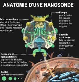 <br />Anatomie d'une nanosonde médicale. La largeur de l'image correspond au diamètre d'un cheveu ! Jusqu'à 10 trillions de nanosondes d'une taille 200 fois inférieure à celle d'un cheveux pourraient être injectées en une fois. Document Nanotech Now.