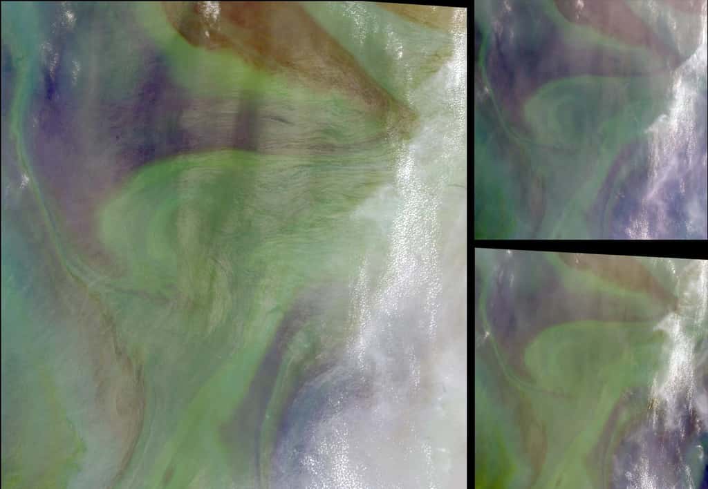 Image satellite du bloom phytoplanctonique (en vert) résultant d’une fertilisation naturelle de la mer d’Oman par les vents de sable riches en fer. © Nasa, GSFC, LaRC, JPL, <em>MISR Team</em>
