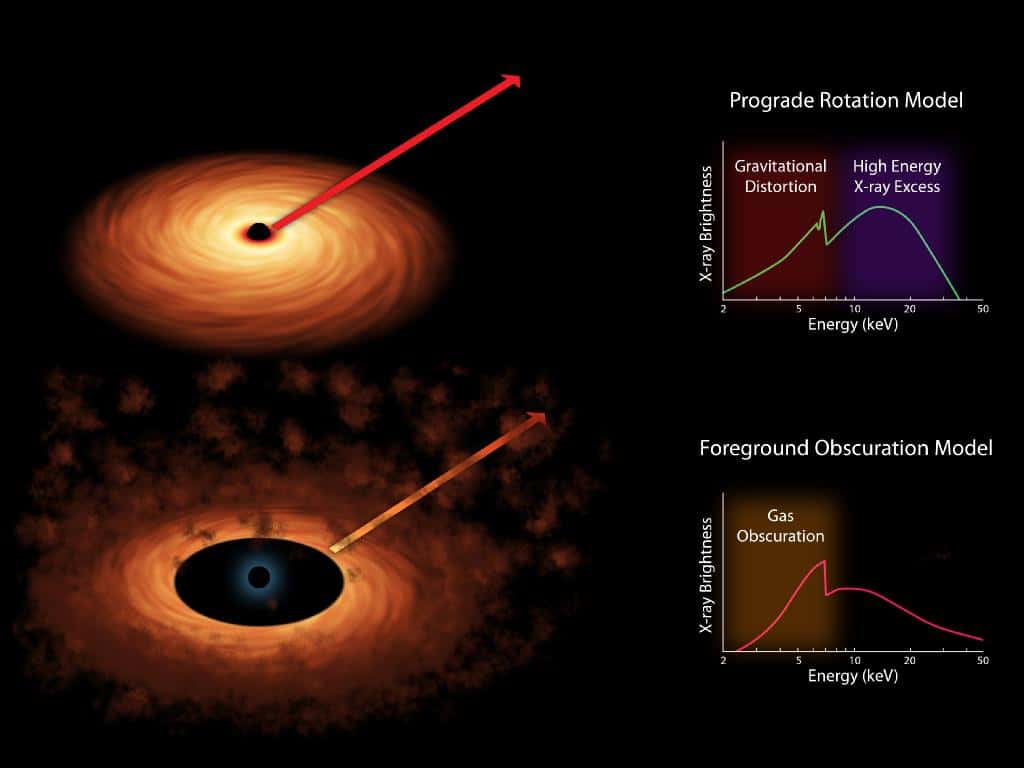 Sur ces deux schémas, on a illustré le fait que le spectre en rayons X des émissions des atomes de fer dans le disque d'accrétion autour d'un trou noir était différent selon que l'on considère qu'il est déformé principalement par des effets relativistes (en haut) ou par l'absorption de la matière présente dans le disque. On sait maintenant que la première hypothèse était la bonne. © Nasa