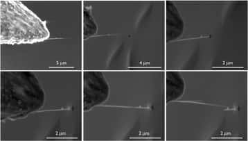 Insertion étape par étape d'un nanotube de nitrure de bore dans un trou de 150 nm de diamètre percé dans une membrane imperméable. Des études doivent encore être menées pour trouver comment produire de grandes membranes de ce type exploitables dans l'industrie. © Siria <em>et al.</em>, <em>Nature</em>, 2013