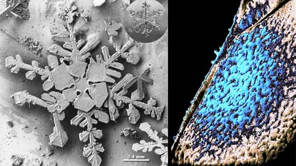 Des images prises en fausses couleurs montrant deux types de glaces différents. L'image de gauche montre de la glace cristallisée, alors que celle de droite montre de la glace amorphe (en bleu). © Image de gauche : Nasa, <em>Earth Observatory</em> ; image de droite : Nasa, ARC, P. Jenniskens, D. F. Blake