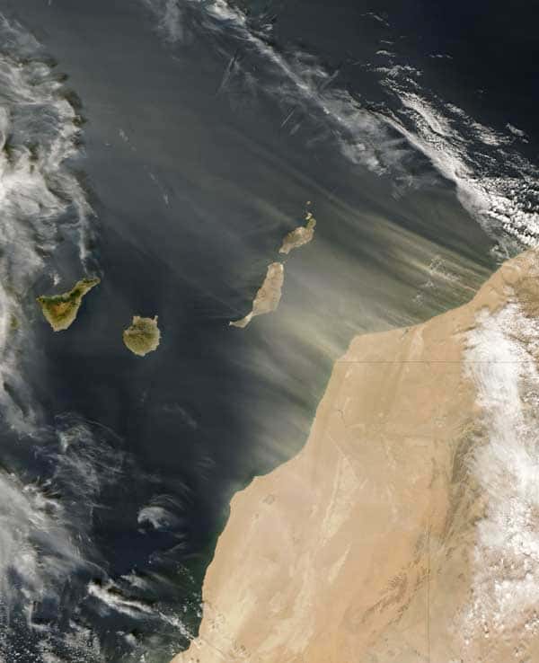 Une tempête de sable issue du Sahara transporte avec elle de la poussière vers les îles Canaries. Sous certaines conditions, les poussières emportées peuvent atteindre les États-Unis. © Nasa