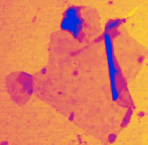 Des feuillets de germanane observés au microscope. L'image est en fausses couleurs. © Elisabeth Bianco <em>et al.</em>, <em>ACS Nano</em>