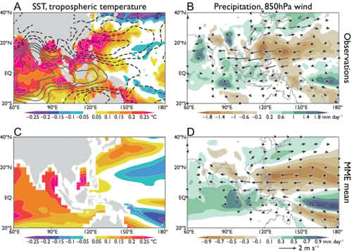 Les chercheurs ont étudié les anomalies de température (<em>sea surface temperature, SST</em>) observées (A) et modélisées (C), et les ont comparées aux données de précipitation observées (B) et modélisées (D), afin d’établir le lien entre El Niño et la mousson. © Xie <em>et al.</em>,<em> Pnas</em>